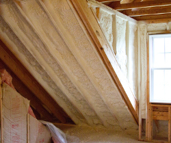 We install spray foam insulation like this throughout DE and MD homes.